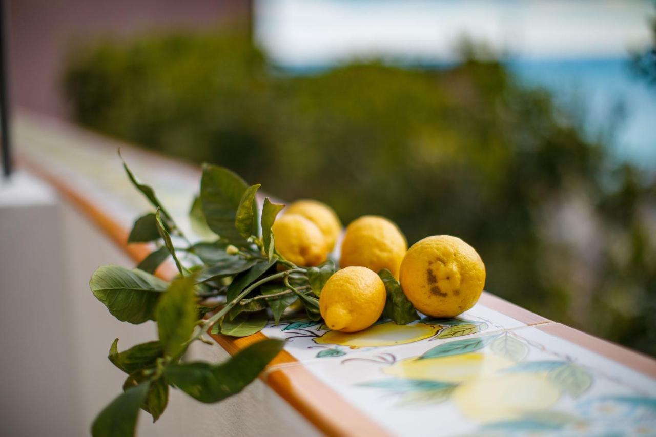 Villa Il Sogno Di Positano Amalfi Exterior foto